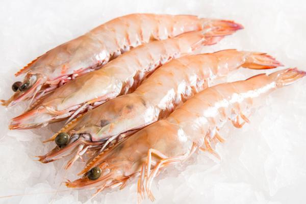 Global Wild Tiger Shrimp Sales	