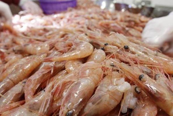 Is  vannamei shrimp in high demand?