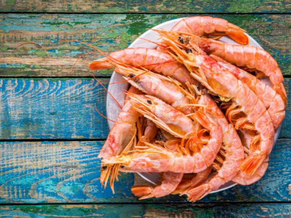 Quality of Vannamei Shrimp 