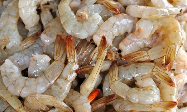 Newest Farmed White Shrimp Types	