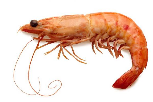 Cheapest Farmed Shrimp Types