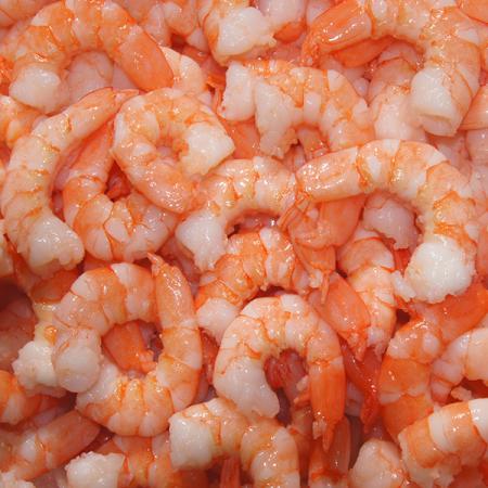 Fresh Farmed Shrimp China Importers