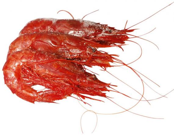 Farmed Shrimp China Buying Market