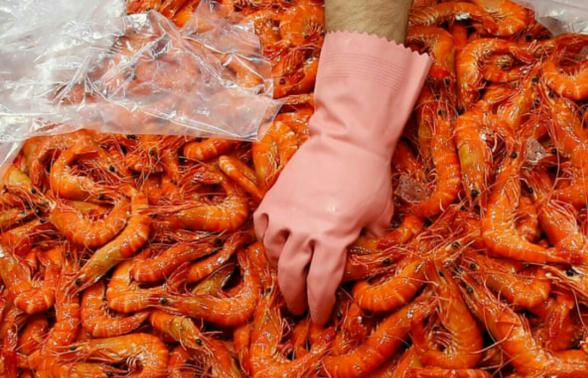 Farmed Shrimp Thailand Buy and Sale