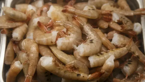 Farmed Shrimp India Distributors	