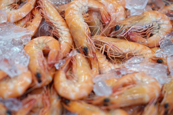 Costless Vannamei Shrimps in the world