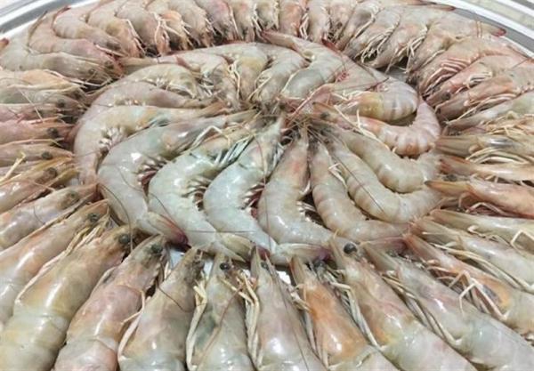 Cheapest Prices of Vannamei Shrimp
