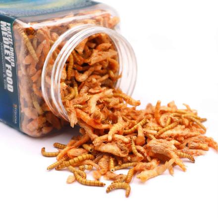 Freeze Dried Shrimp Bulk Supplies Companies