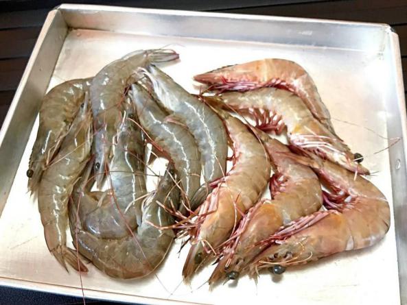 Best Selling Vannamei Shrimp Types