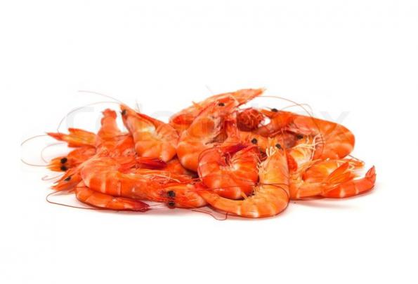 Buy Dried Shrimp UK