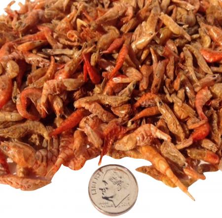 Freeze Dried Shrimp Fish Food Manufacturing