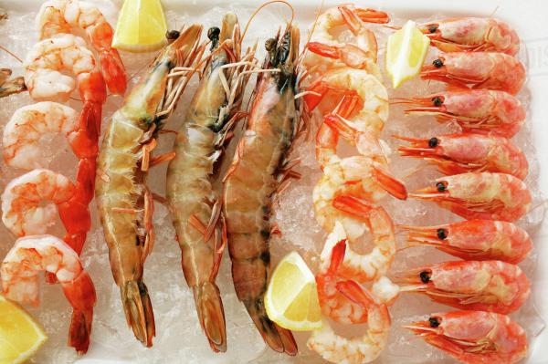 Wild Shrimp Type Uses	