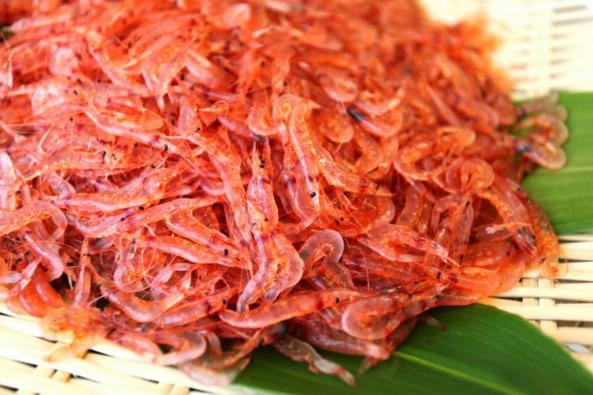 Dried Shrimp Japan Production	