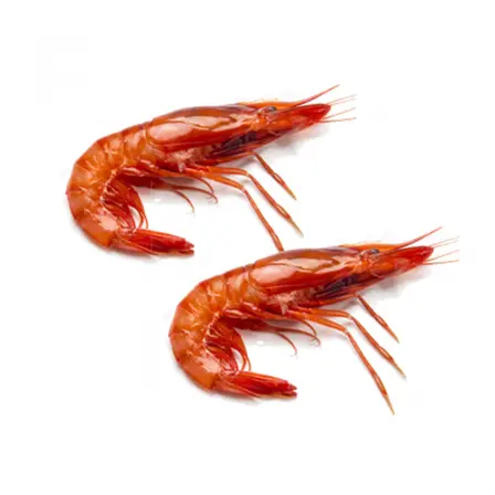 Where to Buy Wild Red Shrimp?	