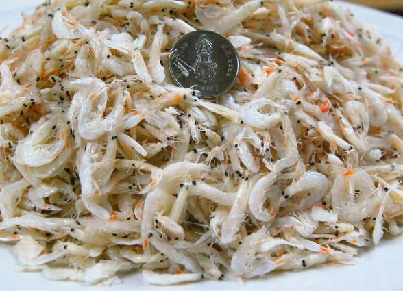 Wild Dried Shrimp Wholesale Prices