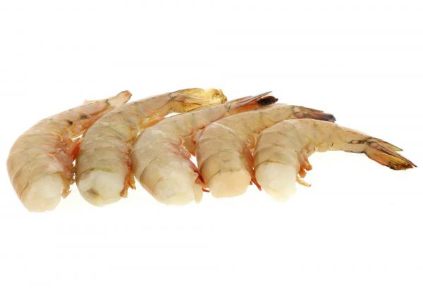 Whiteleg shrimp Distribution centers