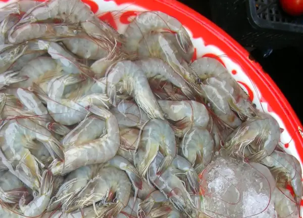 vannamei shrimp export cost in 2020