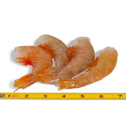 Wild Domestic Shrimp Wholesale Purchasing	