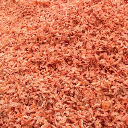 Freeze Dried Red Shrimp Types in the World