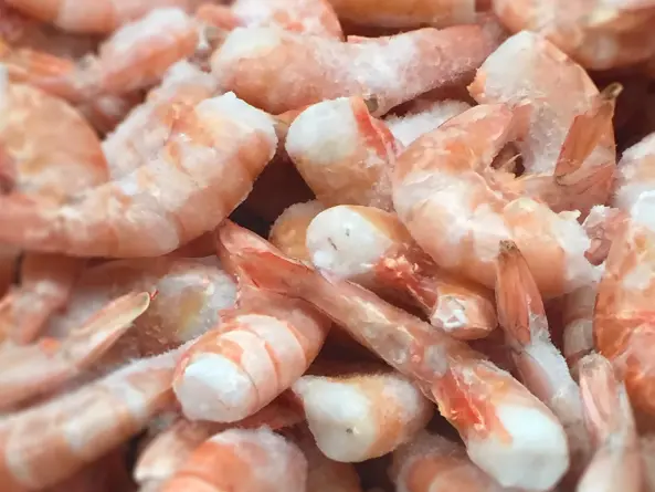 How to Identify Quality Farmed Shrimp?	