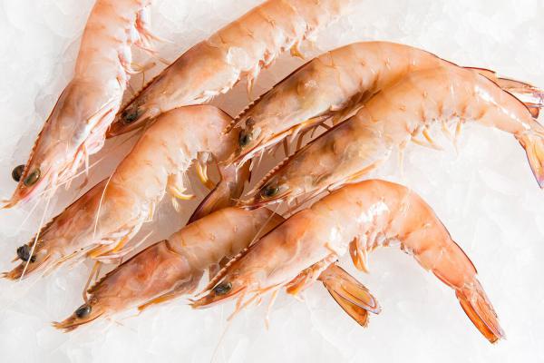 Farmed Shrimp Safe Bulk Price for Traders 