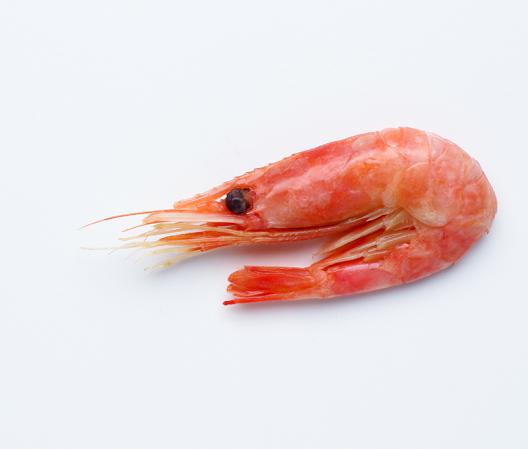 Global Farmed Shrimp China Imports