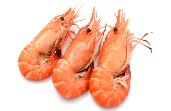 Farmed Shrimp Vendors in the worldwide	