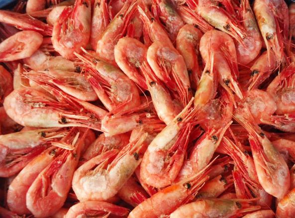 Cheap Freeze Dried Brine Shrimp Sales			