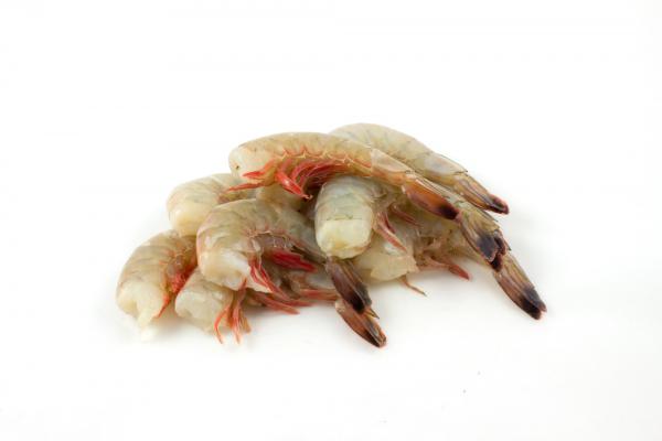 Farmed Shrimp Thailand Wholesale Price	
