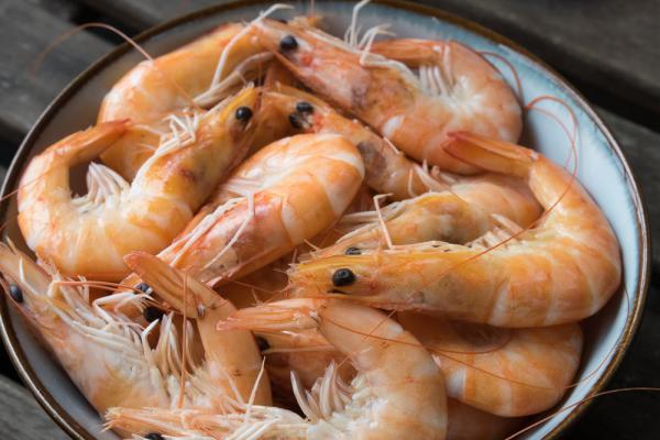 fresh shrimp wholesale price in 2020