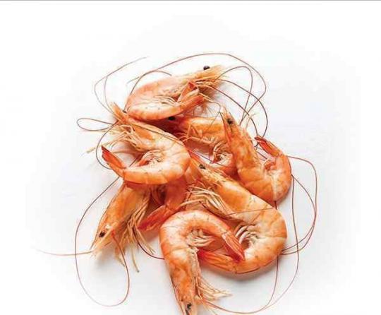 Purchase vannamei shrimp in bulk
