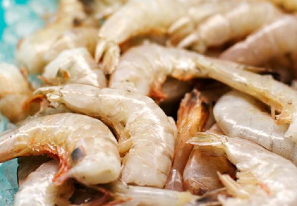 Buy shrimp varieties in bulk