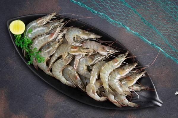 High quality vannamei shrimp Wholesale production