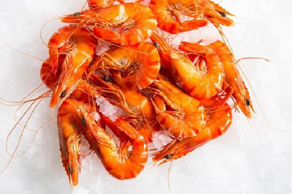 The Specifications of vannamei shrimp