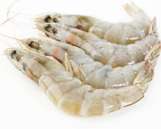 Tips for Purchasing vannamei shrimp