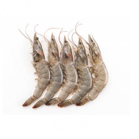 Tips for Purchasing vannamei shrimp