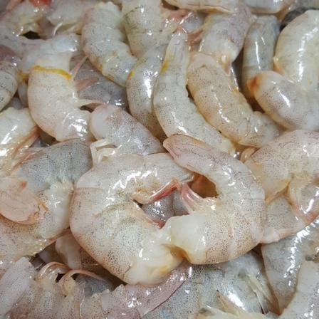 Vannamei shrimp Wholesale Supplier on the market