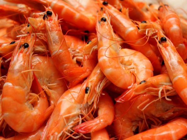 Nutritional Values of vannamei shrimp