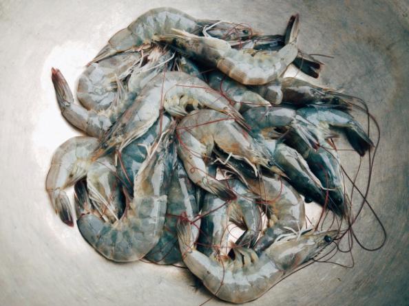 Tips for Purchasing vannamei shrimp