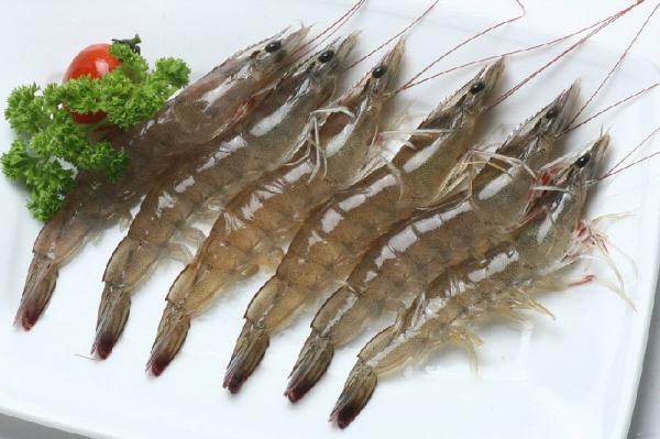 vannamei shrimp type for sale