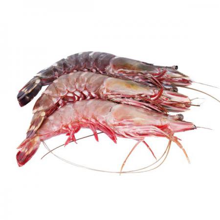 Vannamei shrimp Main Suppliers