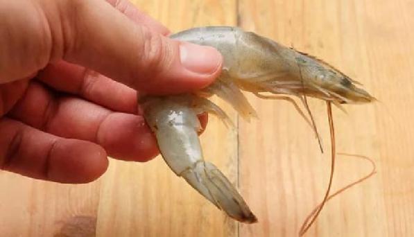 High quality vannamei shrimp for sale