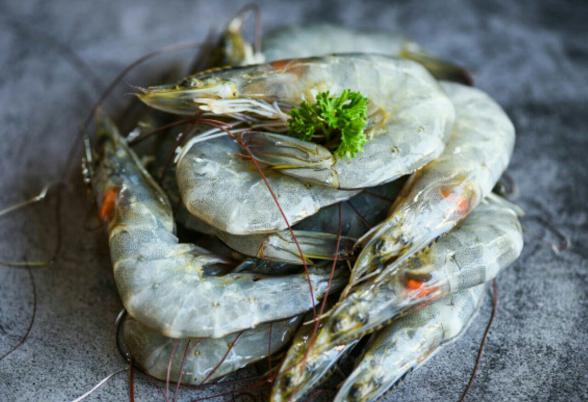 The best vannamei shrimp to export