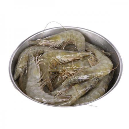 Top grade vannamei shrimp for sale