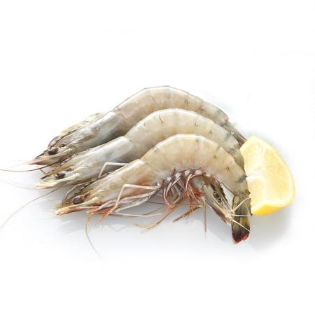 Exporting vannamei shrimp in bulk