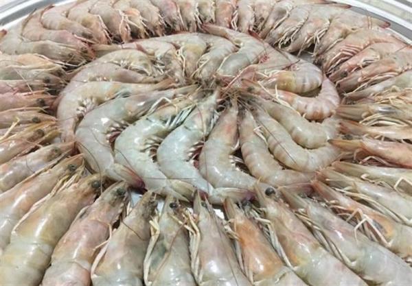 Purchase vannamei shrimp in bulk