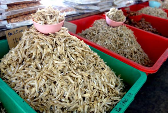 Dried anchovy price on the market - Morvish
