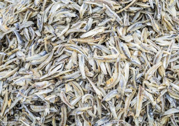 Supplying dried anchovy in bulk in 2020