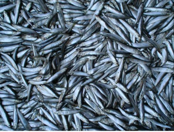 What are dried anchovies used for?