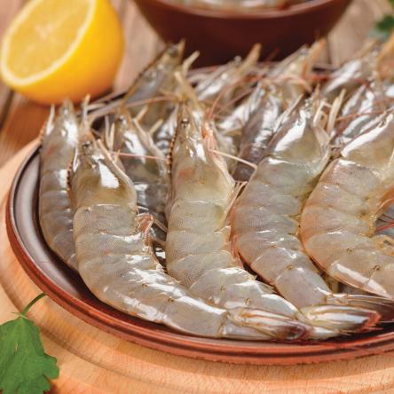 How long can you keep dried shrimp?